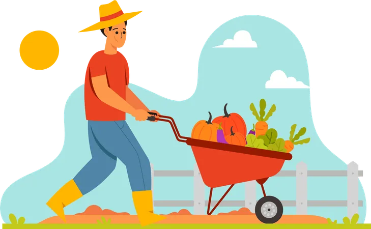 Agriculteur récolte des légumes  Illustration