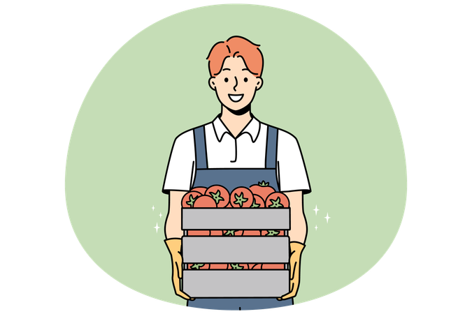 Agriculteur souriant tenant une boîte de tomates fraîches  Illustration