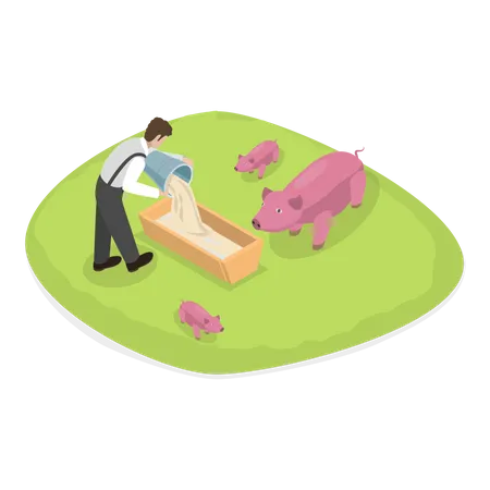 Agricultor alimentando seu porco em sua fazenda  Ilustração