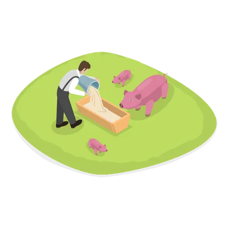 Agricultor alimentando seus porcos na fazenda  Ilustração