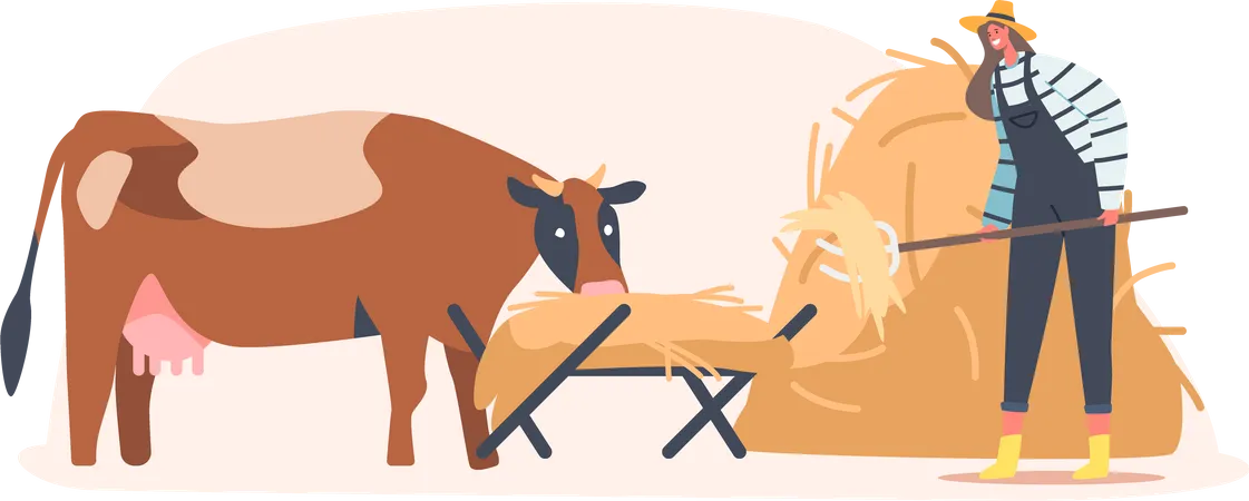 Fazendeiro alimentando vaca  Ilustração