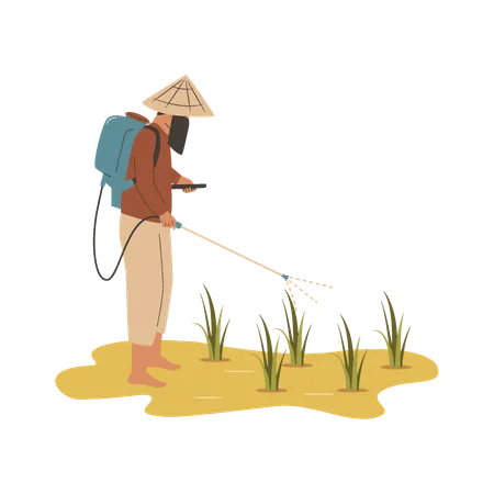 Agricultor asiático pulveriza líquido de controle de pragas  Ilustração