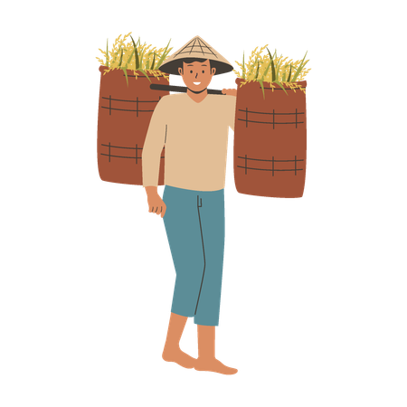Agricultor asiático traz arroz colhido  Ilustração