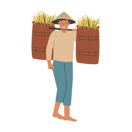 Agricultor asiático traz arroz colhido  Ilustração