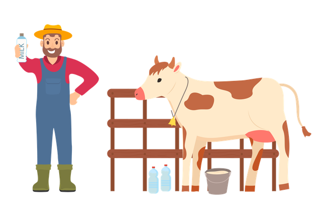 Agricultor recolhe leite de vaca  Ilustração