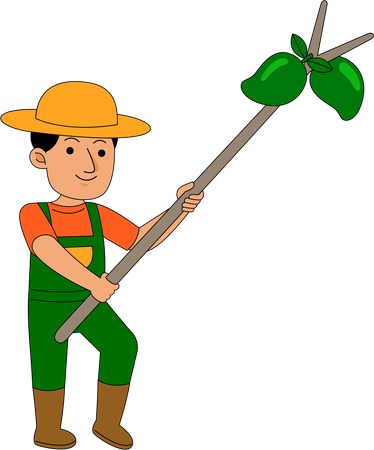 Agricultor colhendo frutas da árvore  Ilustração