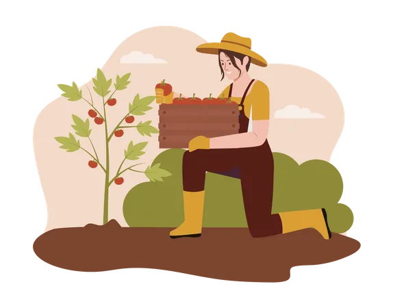 Agricultor colhendo maçã na fazenda  Ilustração