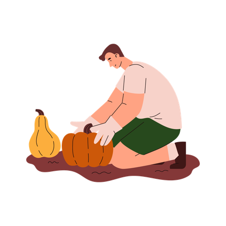 Agricultor colhendo legumes no outono  Ilustração