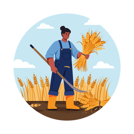 Agricultor cortando trigo com uma foice  Ilustração
