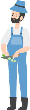 Agricultor cortando vegetais  Ilustração