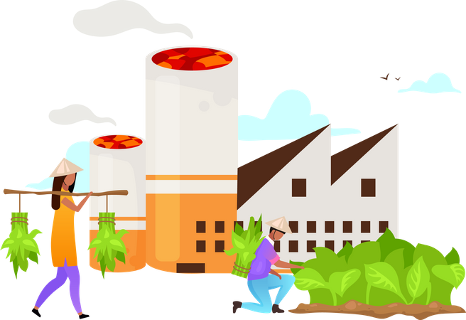 Agricultor cosechando planta de tabaco  Ilustración