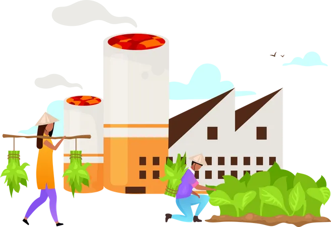 Ilustracion De Vector Plano De La Industria Tabacalera Produccion De Cigarrillos Cultivo Cosecha Agricultura Planta Fabrica Negocios Indonesios Concepto De Dibujos Animados Aislado Sobre Fondo Blanco Ilustración