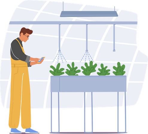 Agricultor gerenciando sua estufa com aplicativo móvel  Ilustração