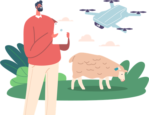 Agricultor emprega drone para monitorar ovelhas  Ilustração