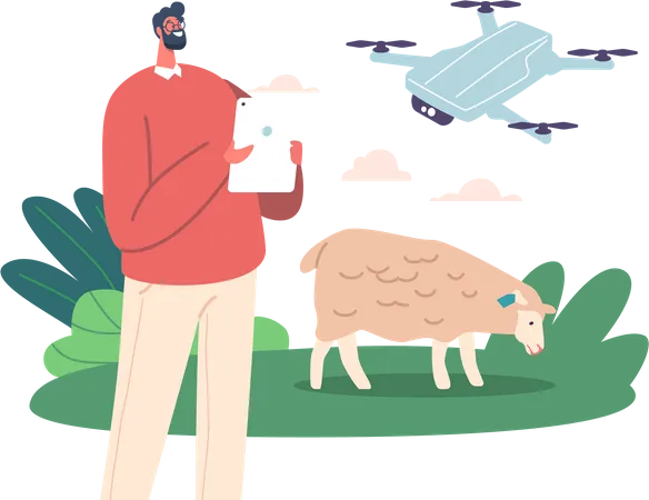 Personagem Masculino Agricultor Emprega Drone Para Monitorar Ovelhas E Gado Utilizando Tecnologia Aerea Para Observar Padroes De Pastoreio Comportamento Do Rebanho Saude E Bem Estar Ilustra O Vetorial De Pessoas Dos Desenhos Animados Ilustração