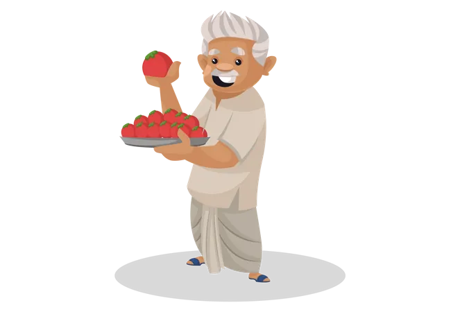 Idoso agricultor segurando o prato de tomates na mão  Ilustração