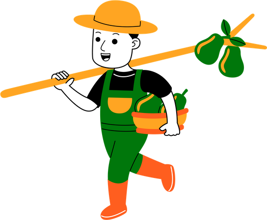 Agricultor masculino colhe mangas  Ilustração