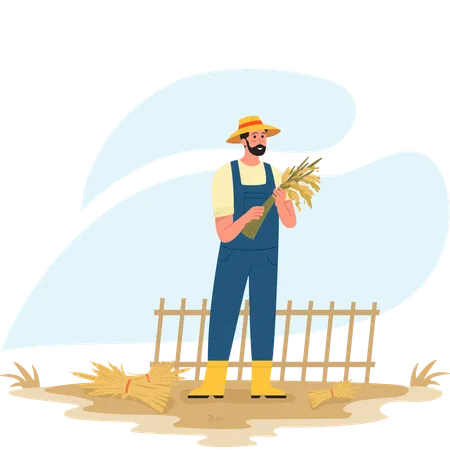 Agricultor masculino cosechando trigo  Ilustración