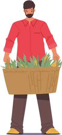 Agricultor sosteniendo con orgullo una cesta rústica rebosante de mazorcas de maíz doradas recién cosechadas  Ilustración