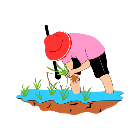 Agricultor plantando planta de arroz  Ilustración