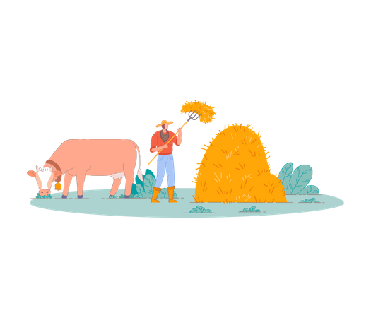 Agricultor reunindo palheiro com vaca  Ilustração