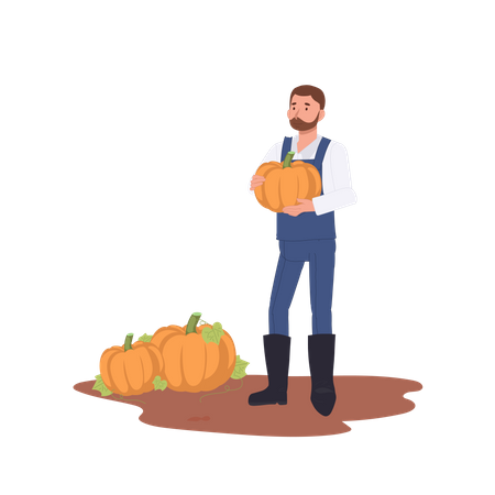 Agricultor sosteniendo calabaza madura durante la cosecha en otoño  Ilustración