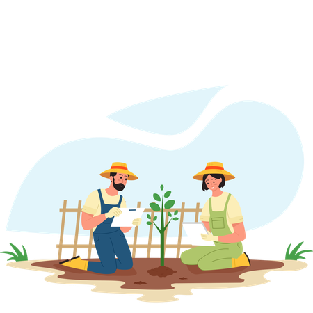 Agricultor y agricultora seleccionando plantas  Ilustración