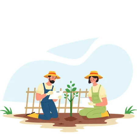 Agricultor y agricultora seleccionando plantas  Ilustración