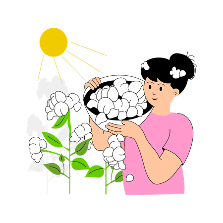 Agricultora colhendo algodão sob o sol  Ilustração