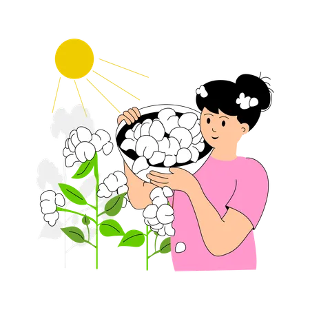 Agricultora colhendo algodão sob o sol  Ilustração