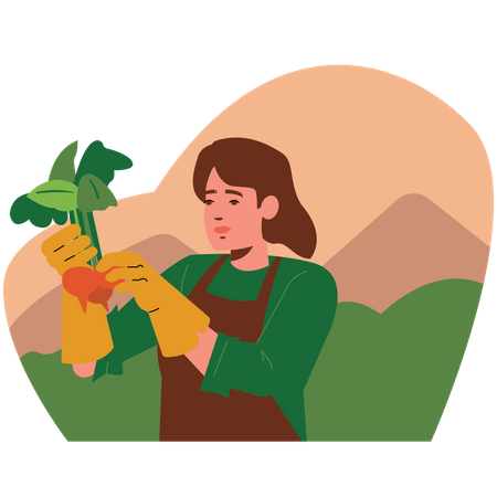 Agricultora cosechando fruta  Ilustración