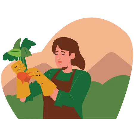 Agricultora cosechando fruta  Ilustración