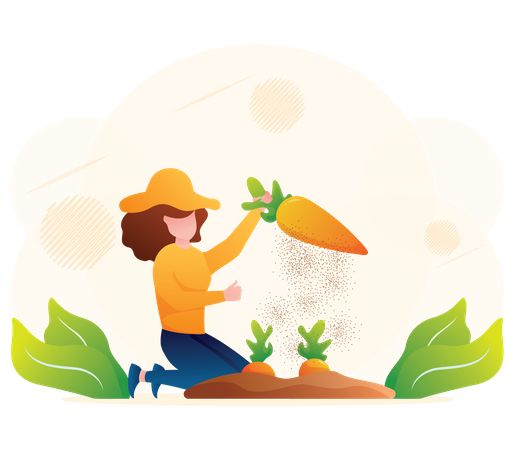 Agricultora cosechando zanahoria  Ilustración