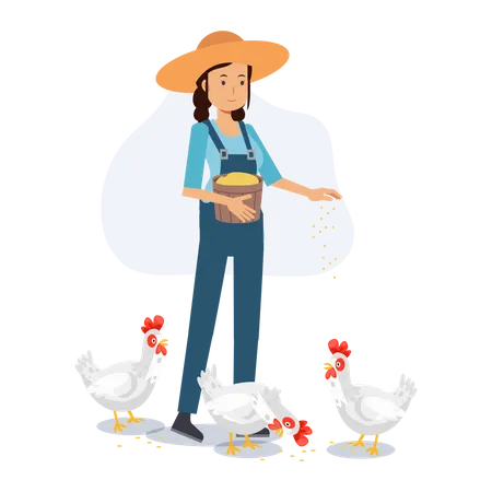 Feliz agricultora está alimentando frango  Ilustração