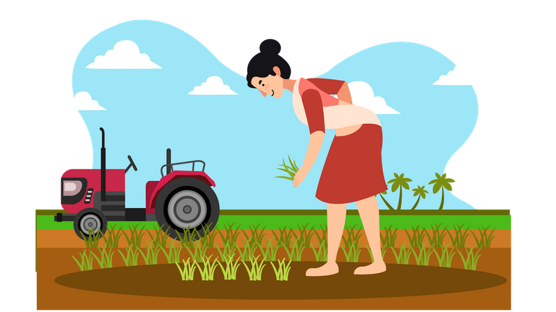 La agricultora recogiendo cosecha  Ilustración