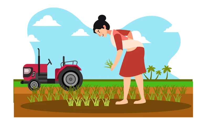 La agricultora recogiendo cosecha  Ilustración