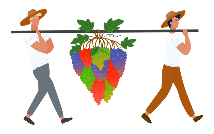 Agricultores carregando cachos de uvas e bagas  Ilustração