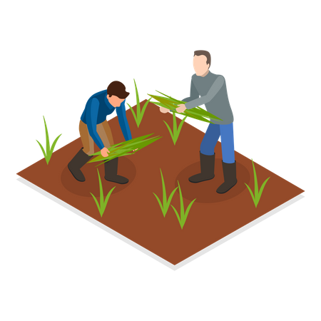 Agricultores cosechando  Ilustración