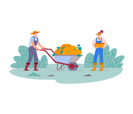 Agricultores cosechando frutas  Ilustración