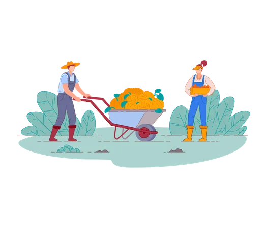 Agricultores cosechando frutas  Ilustración