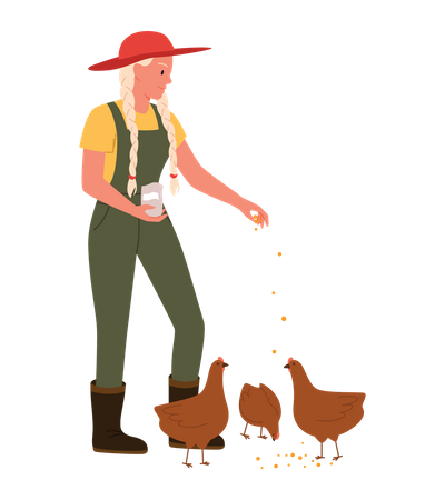 Fille de fermier donnant de la nourriture à une poule  Illustration