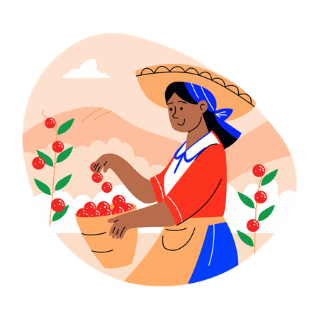 Une agricultrice récolte des cerises  Illustration