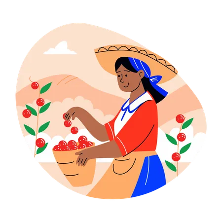 Une agricultrice récolte des cerises  Illustration