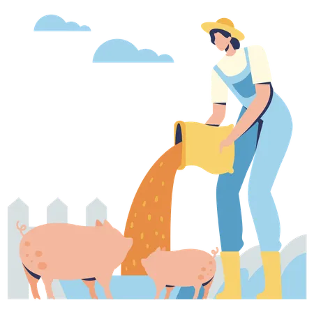 Une agricultrice nourrit des cochons  Illustration