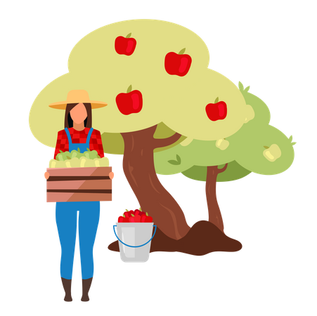 Une agricultrice rassemblant des pommes mûres dans un arbre  Illustration