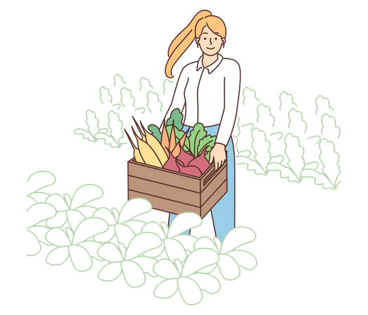 Une agricultrice tenant un panier de légumes  Illustration