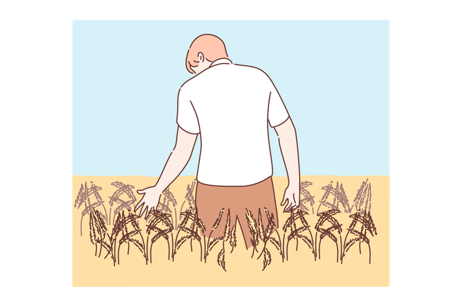 Agricultura, agricultura, conceito de agronomia  Ilustração