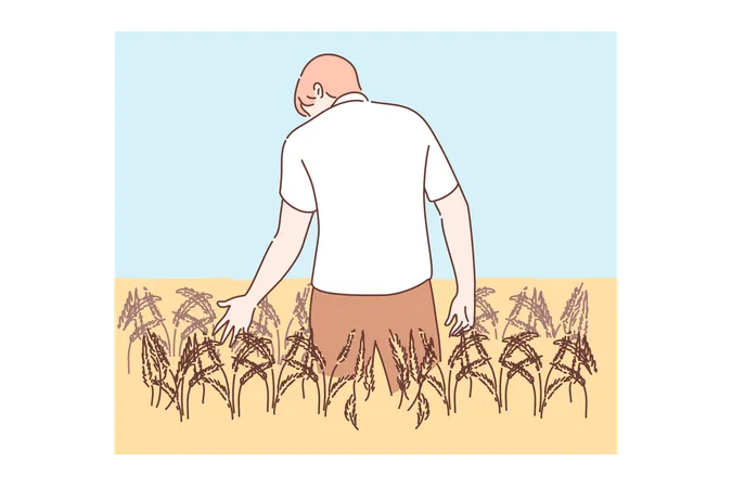 Agricultura, agricultura, conceito de agronomia  Ilustração