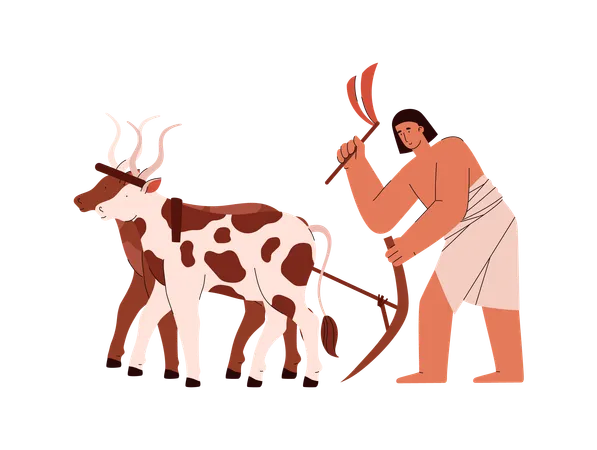 Los agricultores del antiguo Egipto trabajaban con látigos y araban la tierra con vacas.  Ilustración