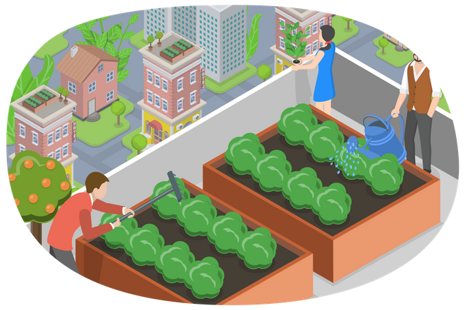 Agricultura urbana em telhados  Ilustração